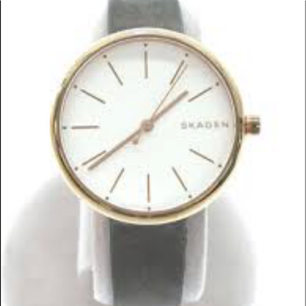 Skagen Womens Watch